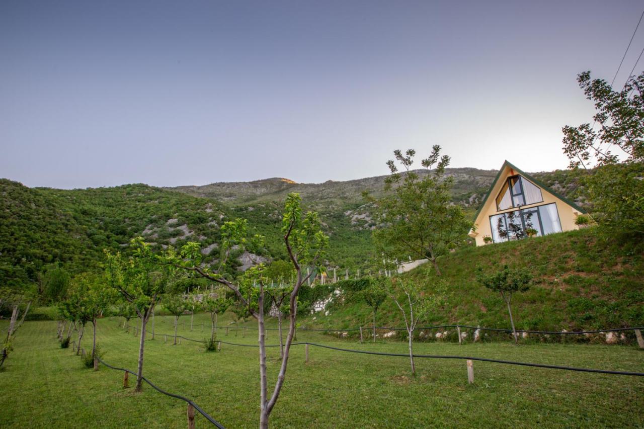Cozy House Ostrog Pensionat Nikšić Exteriör bild